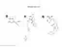 Fig. 11 - Agents For Treating Neurodegenerative Diseases