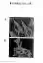 Fig. 15 - Agents For Treating Neurodegenerative Diseases