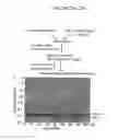 Fig. 45 - Agents For Treating Neurodegenerative Diseases