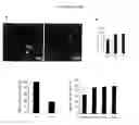 Fig. 52 - Agents For Treating Neurodegenerative Diseases