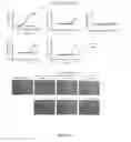 Fig. 71 - Agents For Treating Neurodegenerative Diseases