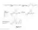 Fig. 17 - Prenylation inhibitors and methods of their synthesis and use