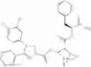 Fig. 58 - Prenylation inhibitors and methods of their synthesis and use