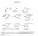 Fig. 04 - Anticancer agents and use