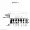 Fig. 15 - Anticancer agents and use