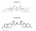 Fig. 02 - Process for preparation of racemic Nebivolol