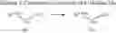 Fig. 489 - Ketone compounds and compositions for cholesterol management and related uses