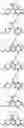 Fig. 41 - Substituted phenethylamines with serotoninergic and/or norepinephrinergic activity