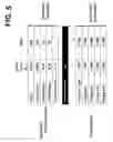 Fig. 06 - Therapeutic formulation