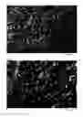 Fig. 02 - Method of producing liquid crystal emulsion compositions