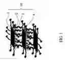 Fig. 02 - High tenacity nanocomposite and method for producing the same