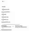 Fig. 02 - Process for continuous production of water-absorbent resin product