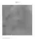 Fig. 09 - Poly(ureaurethane)s, articles and coatings prepared therefrom and methods of making the same