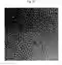 Fig. 08 - Polyurethanes prepared from polycarbonate polyols, articles and coatings prepared therefrom and methods of making the same