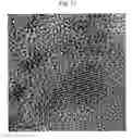 Fig. 09 - Polyurethanes prepared from polycarbonate polyols, articles and coatings prepared therefrom and methods of making the same