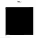 Fig. 04 - Block Copolypeptide vesicle based materials for drug delivery