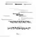 Fig. 02 - Polypeptide having collagen-like structure