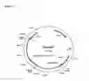 Fig. 05 - Agent