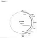 Fig. 10 - Agent