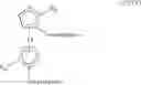 Fig. 154 - Method for producing orthometalated and orthosubstituted metallocenes