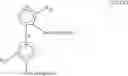 Fig. 67 - Method for producing orthometalated and orthosubstituted metallocenes