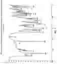 Fig. 04 - Process for preparation of Bicalutamide
