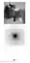 Fig. 22 - Counter weapon containment