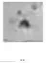 Fig. 28 - Counter weapon containment