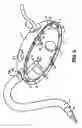 Fig. 03 - Surgical devices for imposing a negative pressure to stabilize the cardiac tissue during surgery