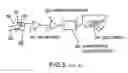 Fig. 05 - Systems and methods for determining an organism's pathology