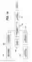 Fig. 10 - Ultrasonic diagnostic imaging with blended tissue harmonic signals