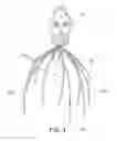 Fig. 03 - Head massager and package therefor