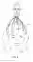 Fig. 04 - Head massager and package therefor