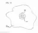 Fig. 09 - Disposable needle and hub assembly