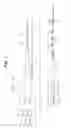 Fig. 02 - Single operator exchange biliary catheter
