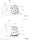 Fig. 09 - Acoustically controlled substance delivery device