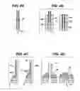 Fig. 04 - Systems and methods for closing a vessel wound