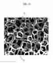 Fig. 03 - Gradient porous implant