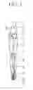 Fig. 02 - Implant device for osseointegration to endure weight