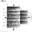 Fig. 04 - System and method for geo-coding using spatial geometry