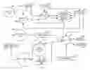 Fig. 08 - Apparatus and method for compensating digital input delays in an intelligent electronic device