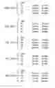 Fig. 03 - V.A.C.T. or visual associative comparison technique: A method and system for evaluating human compatibility and/or performance potential with a categorized iconic or alphanumeric representation driven by a uniform and consistent dataset