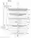 Fig. 07 - Apparatus, method, and program product for translation and method of providing translation support service