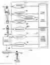 Fig. 01 - Method and apparatus for electronic message (coupon) distribution