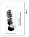 Fig. 03 - Advertising technique