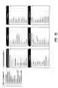 Fig. 05 - Dynamically altering requests to increase user response to advertisements