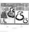 Fig. 59 - On-line personalized content and merchandising environment