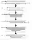 Fig. 01 - Method and system of placing an order for a custom stamp using an identifier