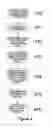 Fig. 04 - Systems and methods for multi-media transfer