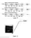 Fig. 08 - Systems and methods for multi-media transfer